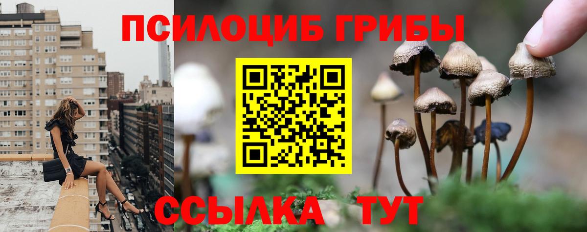 Псилоцибиновые грибы мухоморы Янаул